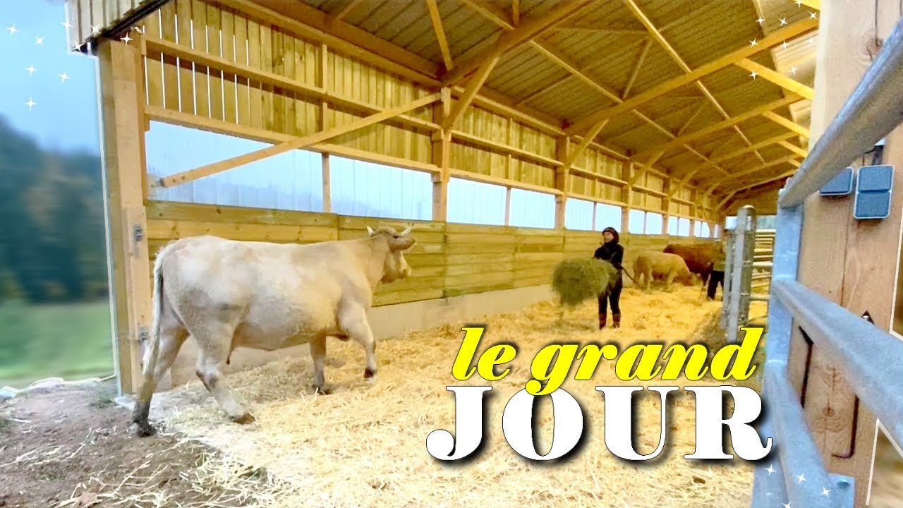 ON ATTEND CE MOMENT DEPUIS DEUX ANS ET DEMI ✨