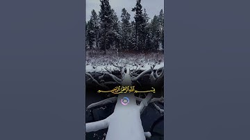 محمد صديق المنشاوي سوره الاخلاص