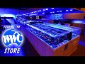 Field of Coral Dreams - Touring the World Wide Corals Superstore