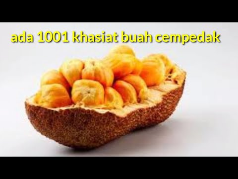 5 Benefits of Cempedak Fruit Apart from Anti-Depression Drugs that we must know