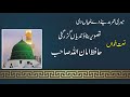 Meri Umer Madinay de Tibia d tasveer Naat by Hafiz Amanullah Jamati | Abdurrahman | Jhang