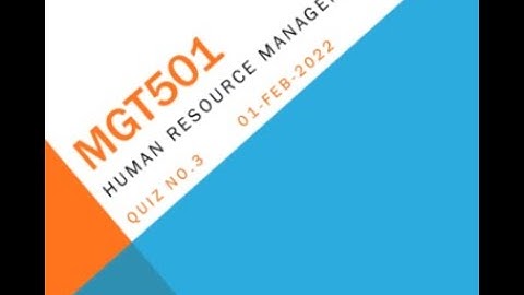 MGT501 Human Resource Management Quiz No 3