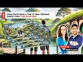  travel nz on a budget 2024 full price breakdown  saving tips  live with nz pocket guide 