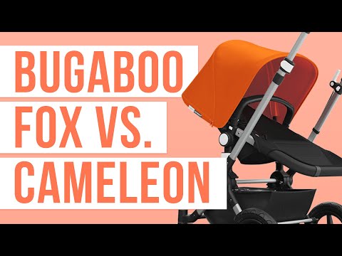 bugaboo fox cameleon vergleich