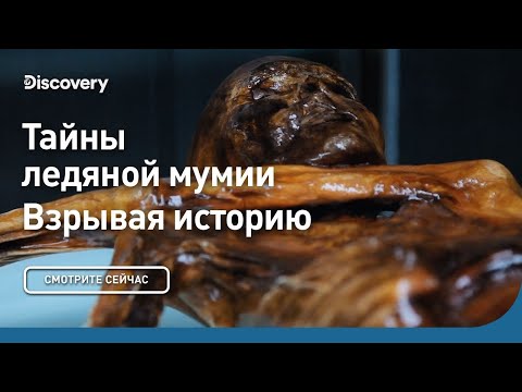 Видео: Когда останки мертвых организмов превращаются в камень?