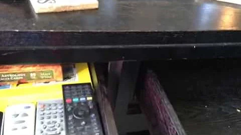 Our cat in our coffee table
