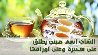 أنواع الشاي في العالم #شاي_الأخضر#شاي_ابيض#شاي_الاعشاب#شاي_الميرمية#شاي_الاسود#شاي_أحمر#الشاي_الصيني