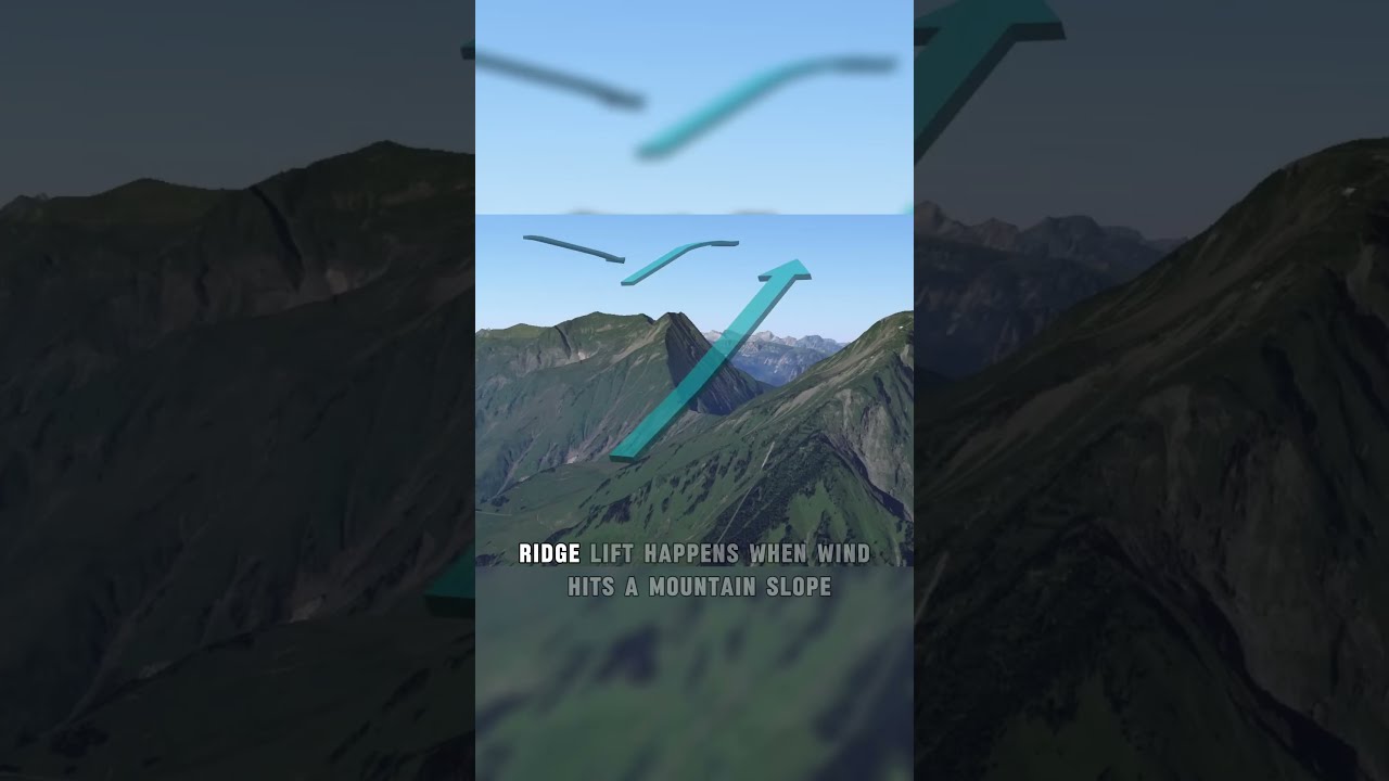 How Gliders Actually Work