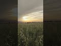 به هیچ چیزی دلنبد چون همگی رفتنی اند بیکلام به هیچ چیزی دلنبد چون همگی رفتنی اند بیکلام
