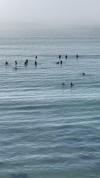 What Beginner Surf Lesson Looks Like Semi Private Vs Group cowell what-beginner-surf-lesson-looks-like-semi-private-vs-group-cowell