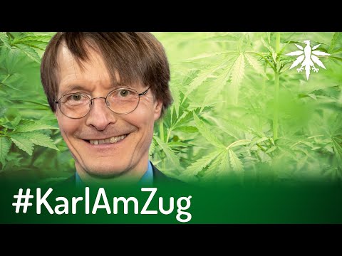 New #KarlAmZug | DHV-News # 332