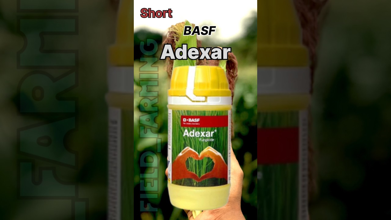 Adexar fungicide | BASF adrxar fungicide