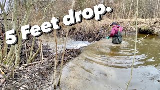 Beaver Dam Removal || Walking Upstream.