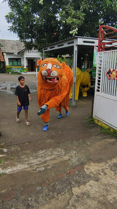 Woww Ini dia Detik detik ketika Satokewan cinta nada budaya muncul