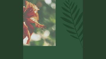 Background for Lazy Days