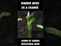 Science Gives Us a Chance - Why learn Science?? | Sounds of Science EDUCATIONAL MUSIC - SHORT Mp3 Song