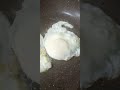 Fried Egg Short