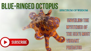 Blue Ringed Octopus: Unveiling the Mysteries of the Sea's Most Vibrant Predator