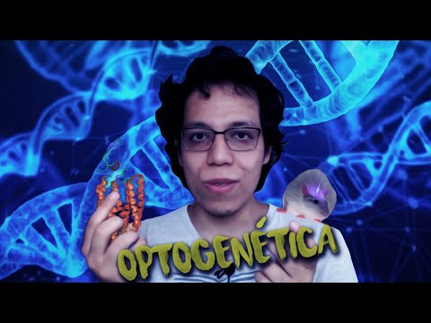 Vídeo: Em que a optogenética é usada atualmente?