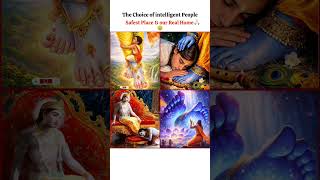Intelligent People Choose Divine Peace ✨ #viral #krishna #devotion #bhakti #shortfeed