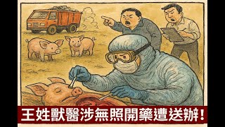 台中豬場確診非洲豬瘟 王姓獸醫涉無照開藥遭送辦❗️防疫潰堤背後的市政崩壞與官僚怠惰全揭露