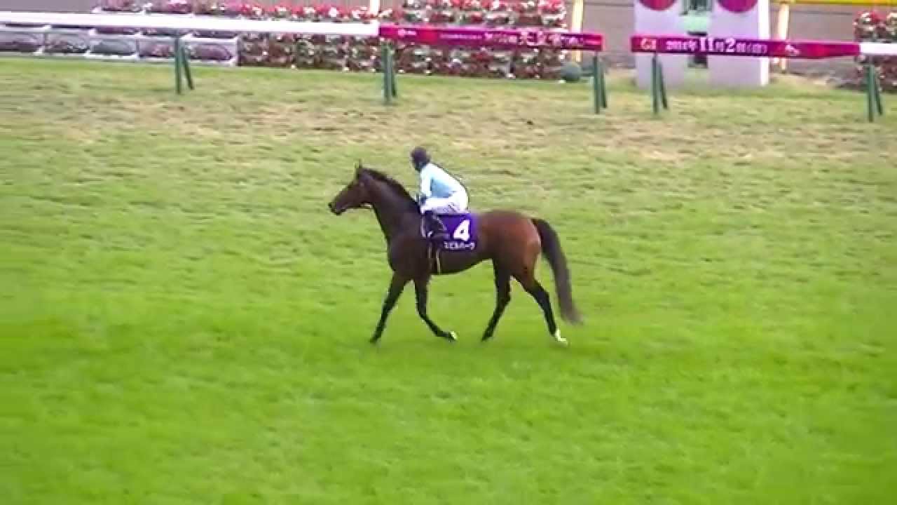 2014 11/2 第150回 天皇賞（秋）(GI) ウィニングラン 現地映像