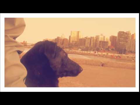 Los piojos- Vine hasta aqui