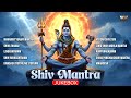 Shiv Mantra Jukebox | Nonstop Devotional Shiva Bhajans | Powerful Shiv Mantras &amp; Bhajans