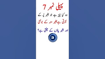 Paheli No. 7 | Part 7 | urdu paheli | paheliyan | riddles | urdu riddles | #paheliyan #riddles