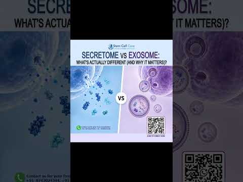 Secretome vs Exosome: What's Actually Different
