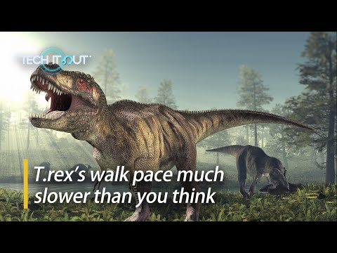 New study: T.rex’s walk pace much slower than you think