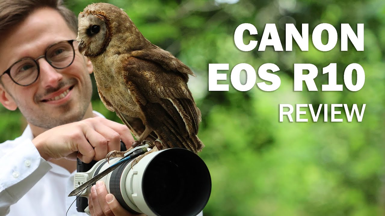 Canon Ef Best Lens For Bird Photography Canon Eos Best Lens For