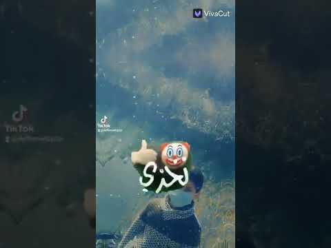 اني اسمي حمودي عمري 15 من بغداد