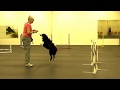 Foundation Skills - 2x2 Weave Pole Training (Part 1/3) Foundation Skills - 2x2 Weave Pole Training (Part 1/3)