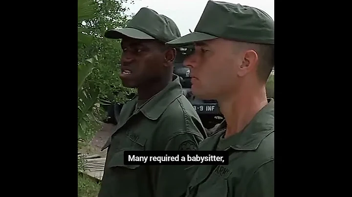 FORREST GUMP: The Untold Story of Vietnam War Project 100,000 - #shorts #short - DayDayNews