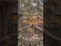 Epic Treehouse Transformation 🌲 From Raw Forest to Luxury Sky Retreat