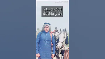 مو كلا رجال تنعد رجال ولا كلمن ركب أعلى الخيل خيال داديتؤ خيالهم 