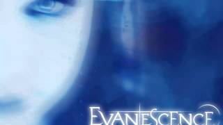 Evanescence- Everybody's Fool (Playback)