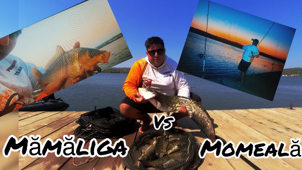 😍🏆PARTIDĂ de POVESTE pe DUNĂRE 🐟😱🏆!! 24 h de PeScUiT InTeNs !!