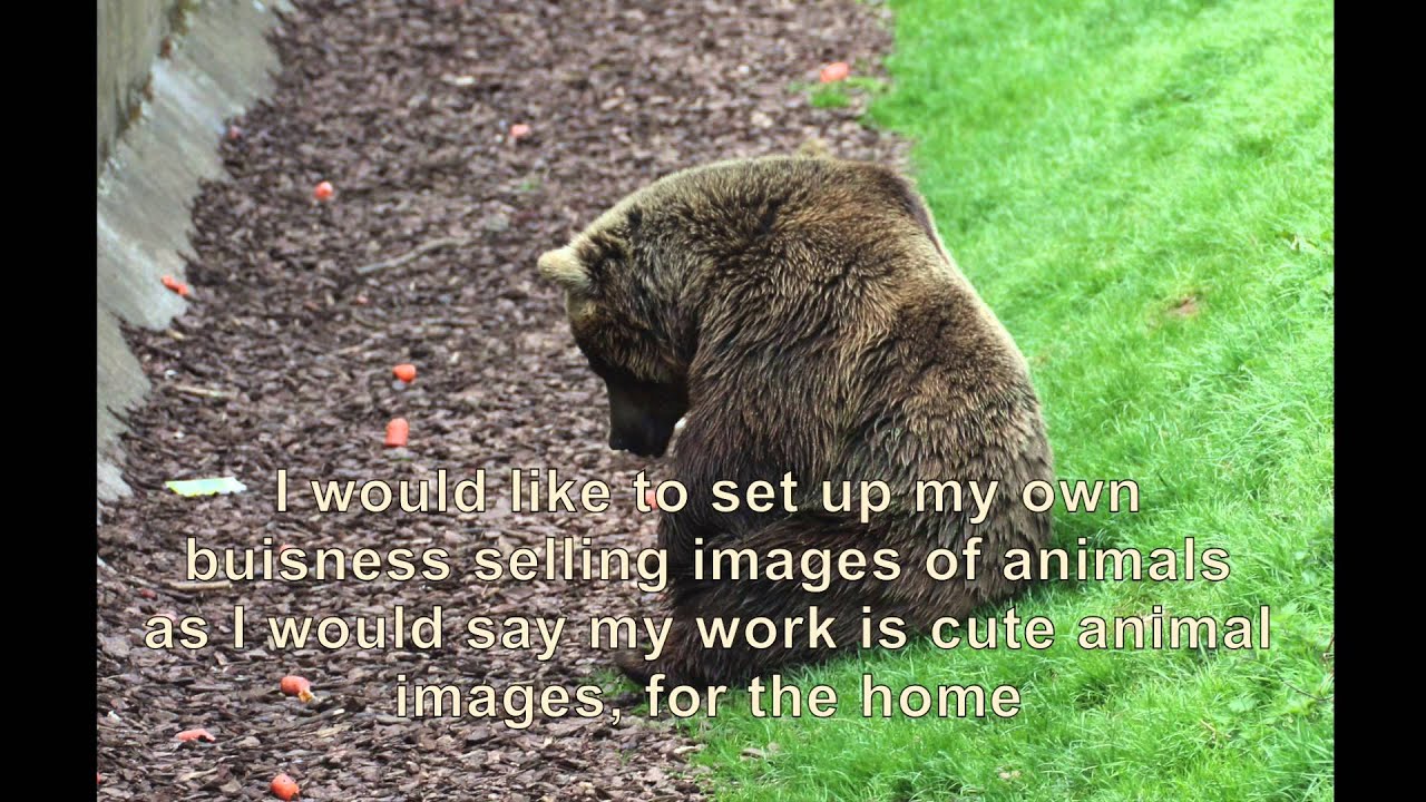 Sky Academy Art Scholarship