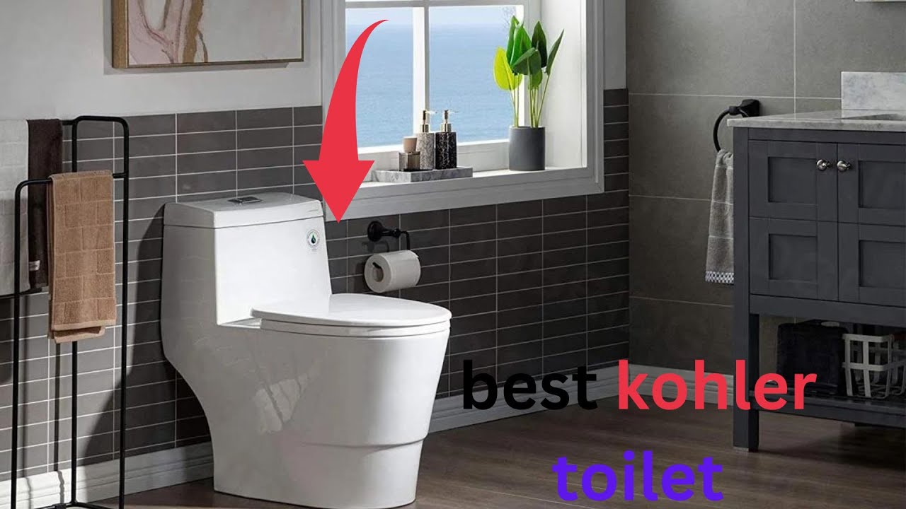best kohler toilet 2024 YouTube