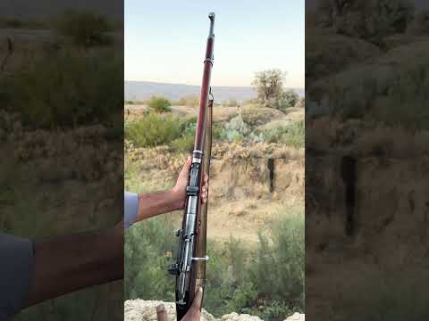 Russian Mosin_Nagant🔥👌shoot#short #shorts #feed #gaming #trending #top