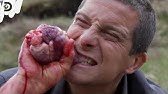 サバイバルゲーム Man Vs Wild Youtube サバイバルゲーム Man Vs Wild Youtube
