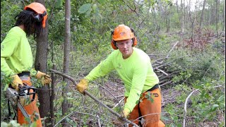 Duluth Stream Corps Gets Outdoor Jobs Done