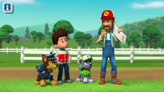 PAW Patrol Academy 🐶 #12 PAW Patrol to the Rescue! Featuring heroic missions w/ RAYDER & CHASE!