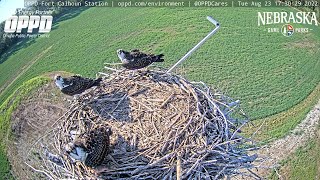 Preview of stream Fort Calhoun Station Osprey Watch