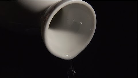 映画『一献の系譜』予告編