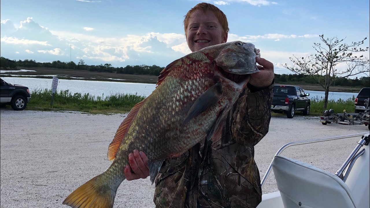 Drum Fishing 5/78/2021 Delaware Bay! YouTube