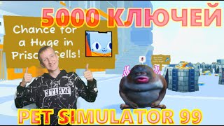 РОЗЫГРЫШ ХУГА / ВЫПУСКАЮ 5000 ПОДПИСЧИКОВ ИЗ ТЮРЬМЫ В PET SIMULATOR 99