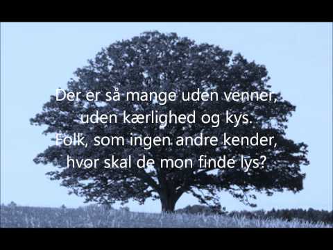 Video: Rød eg er et lyst træ